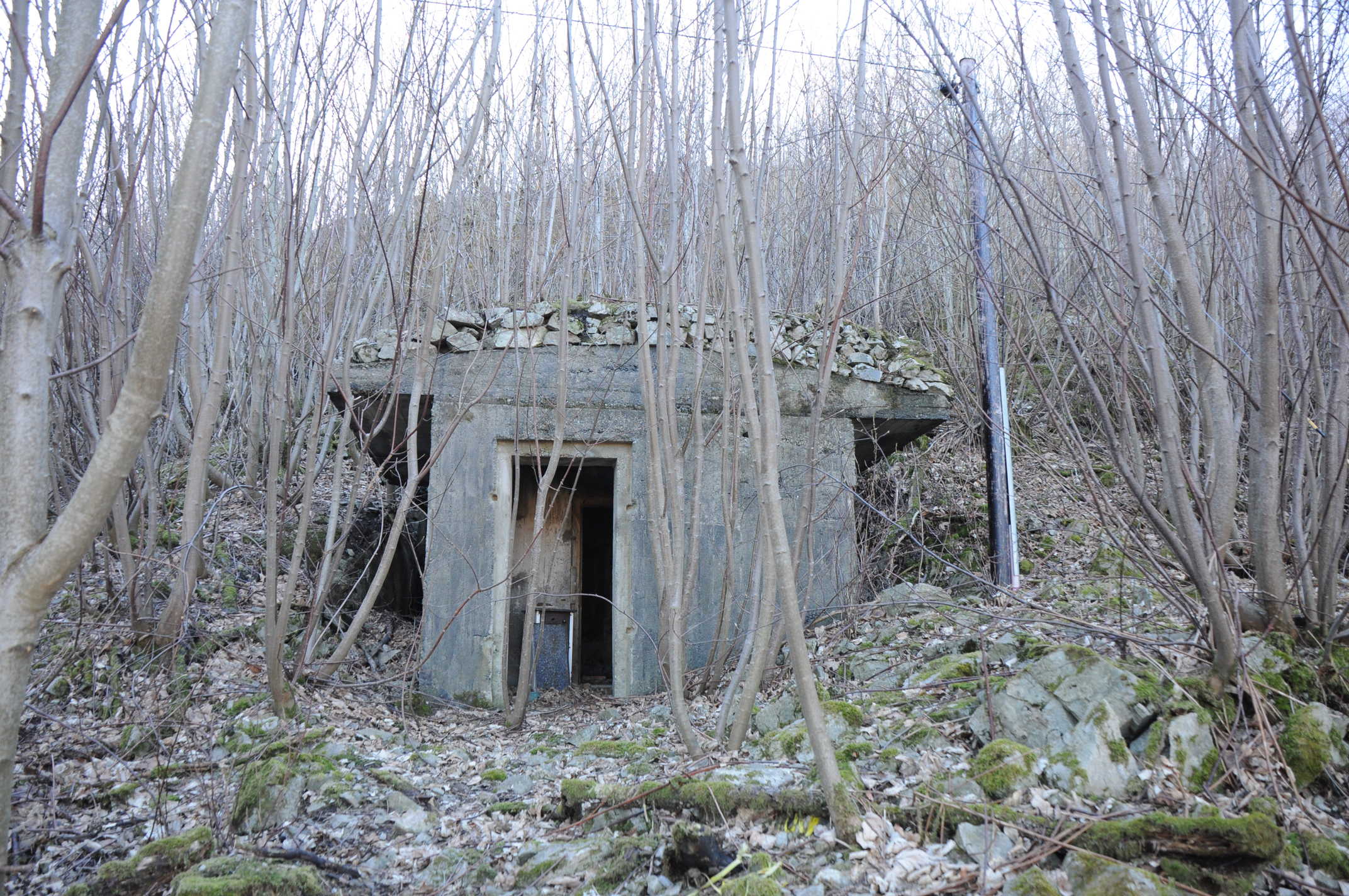 vest for Skrivargården