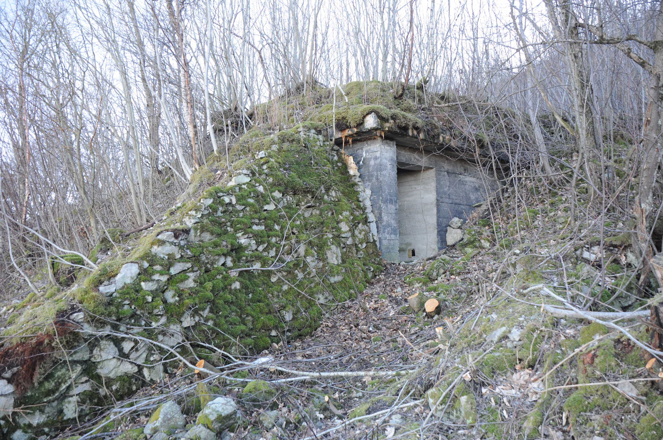 sør for Skrivargården