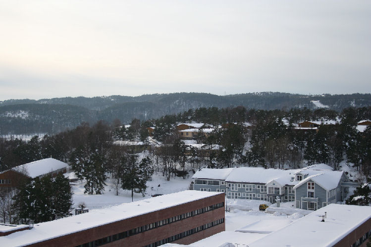 Offiserbrakkene og tilholdssted for Festungskommandanten himself. De gule byggene er studenthybler bygget rundt 2003-2004.