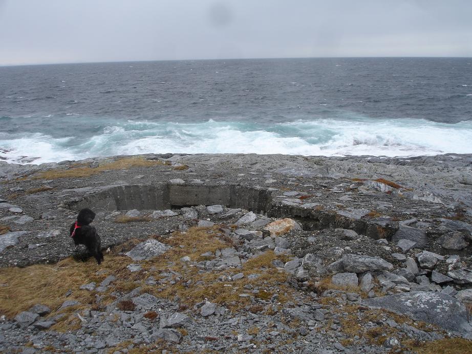 DSC02393 Løpegraver ned mot havet.jpg