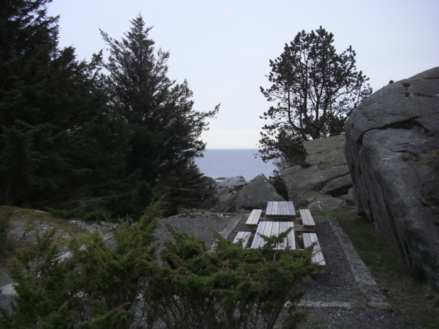 CIMG8219.JPG