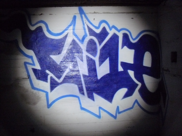 CIMG8221.JPG