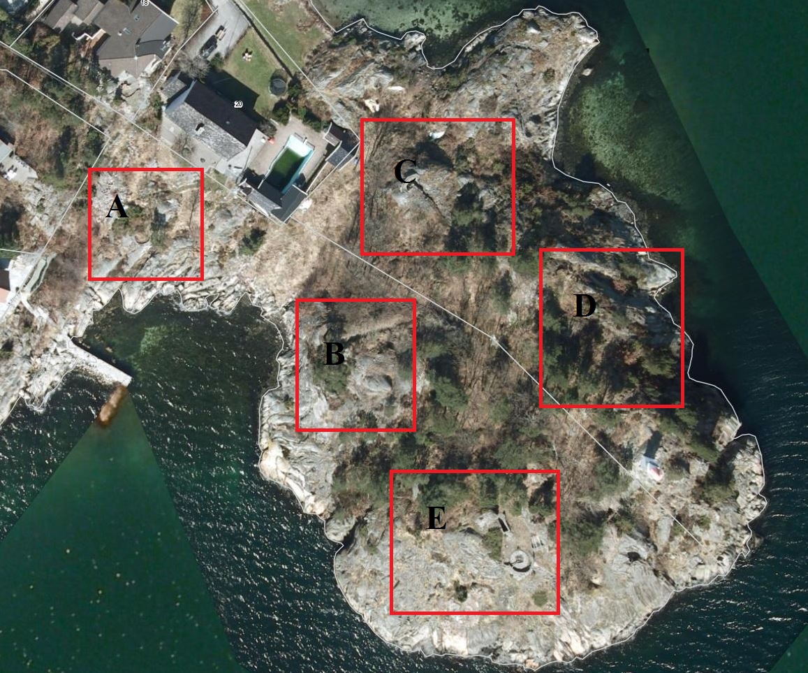 Vessøyneset.JPG