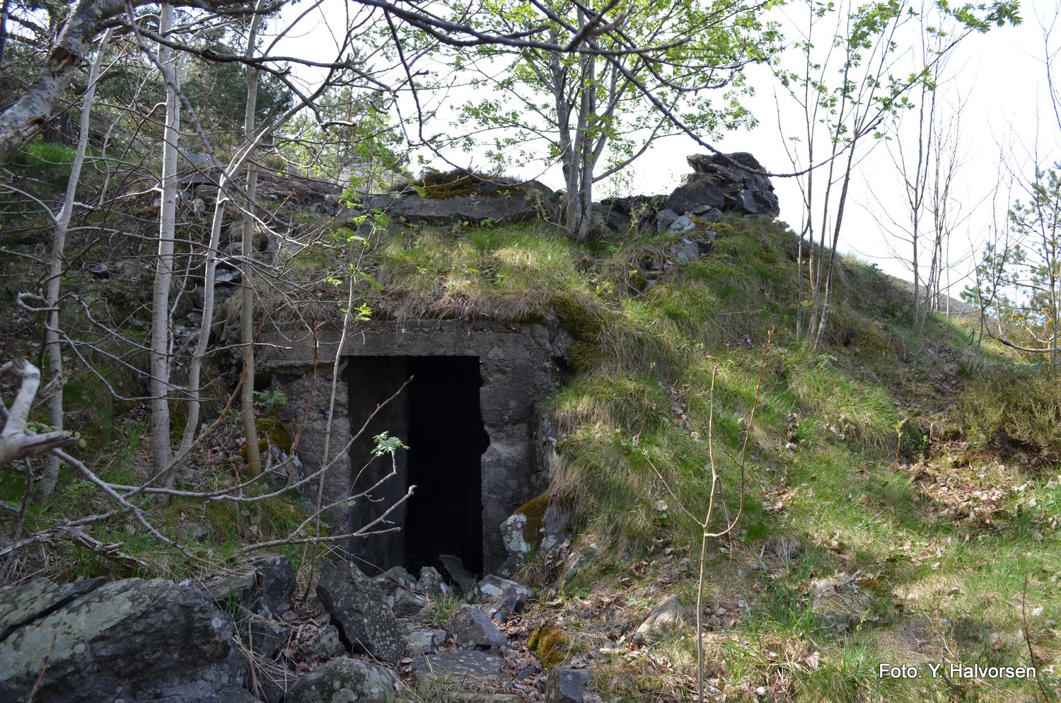 04-DSC_0146.JPG