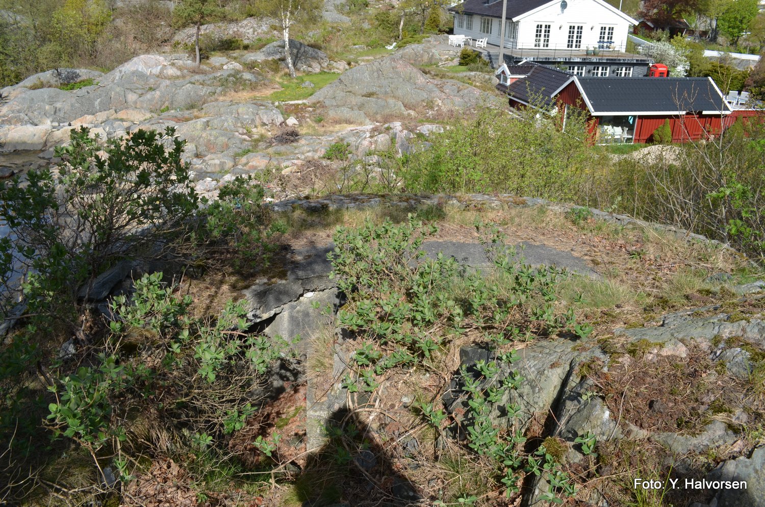 06-DSC_0159.JPG