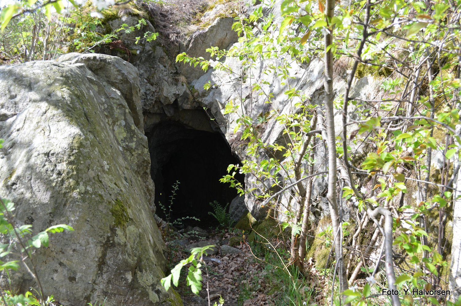 11-DSC_0169.JPG