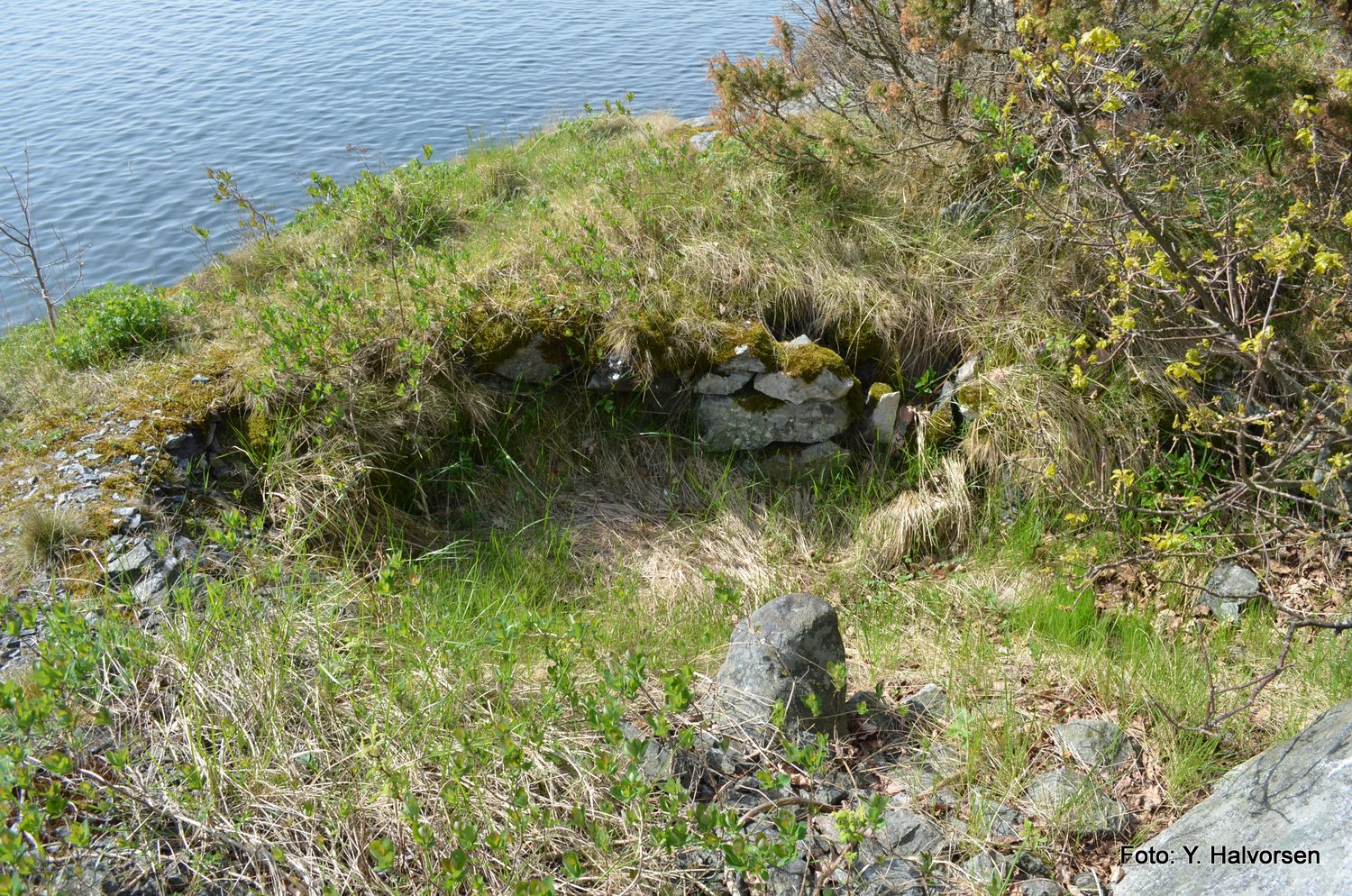 14-DSC_0179.JPG