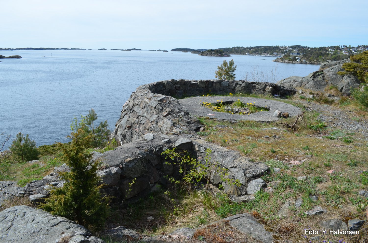 16-DSC_0185.JPG