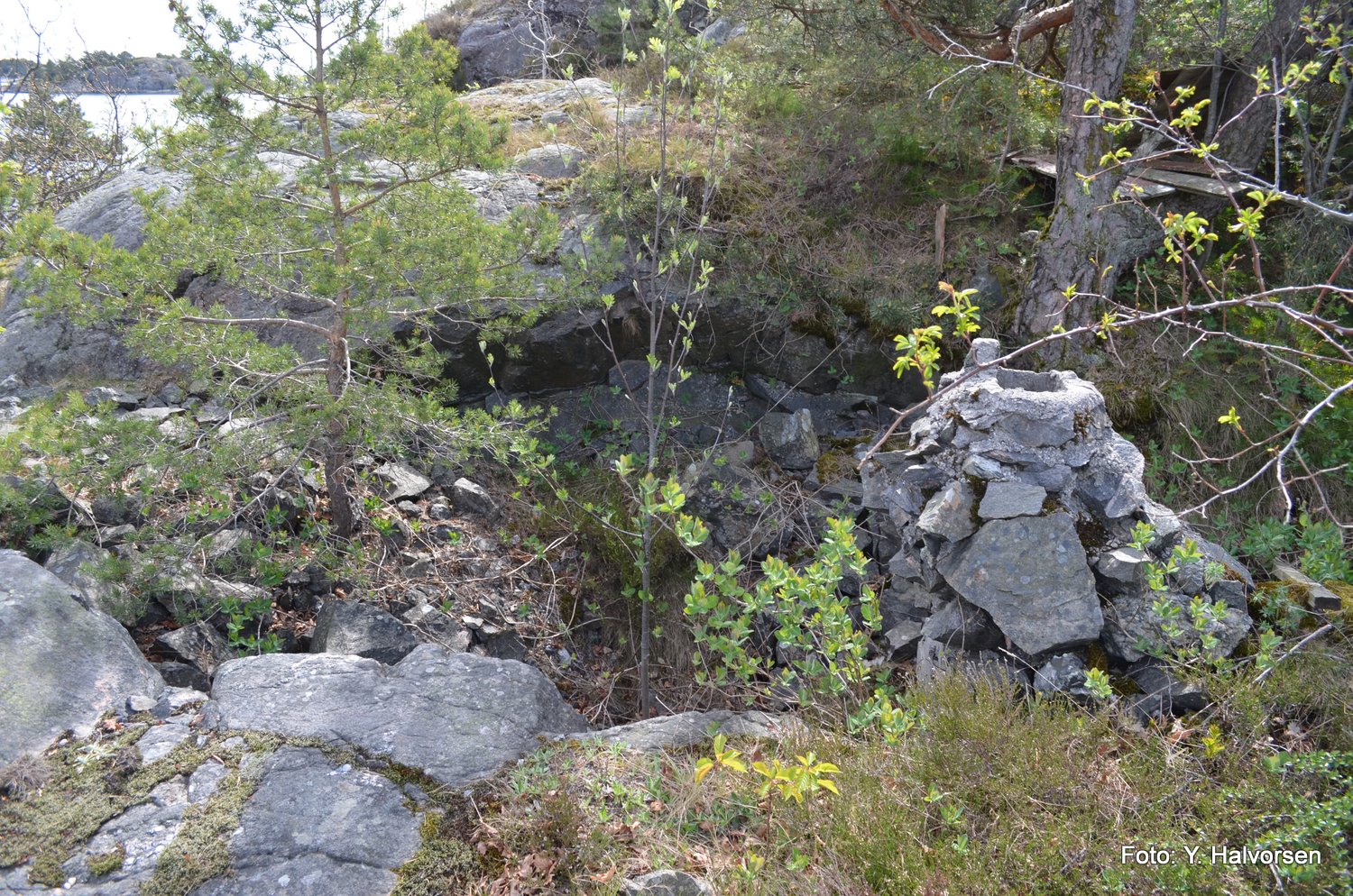 28-DSC_0222.JPG