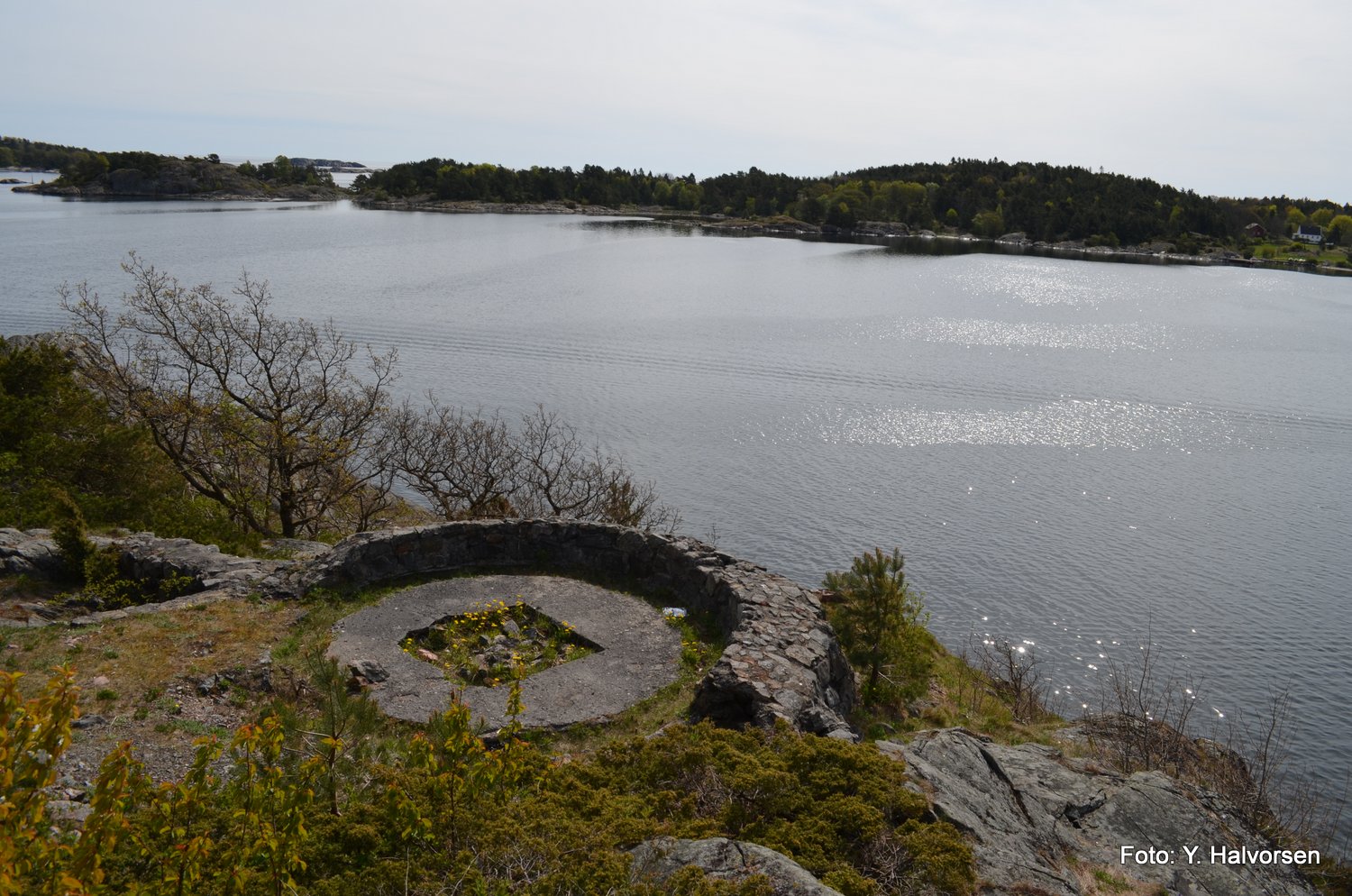 1-DSC_0200.JPG