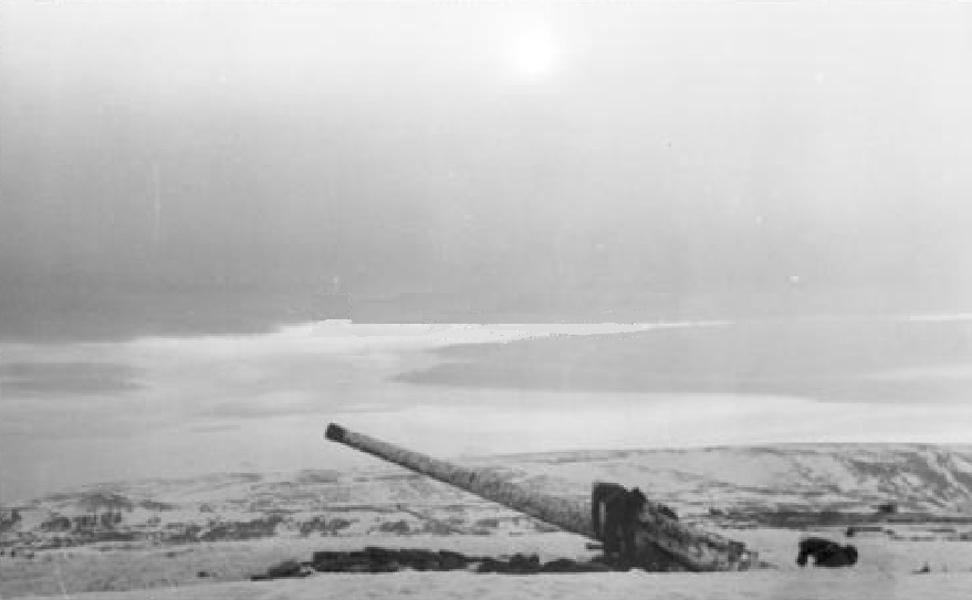 Vedvikneset_1942_2.jpg