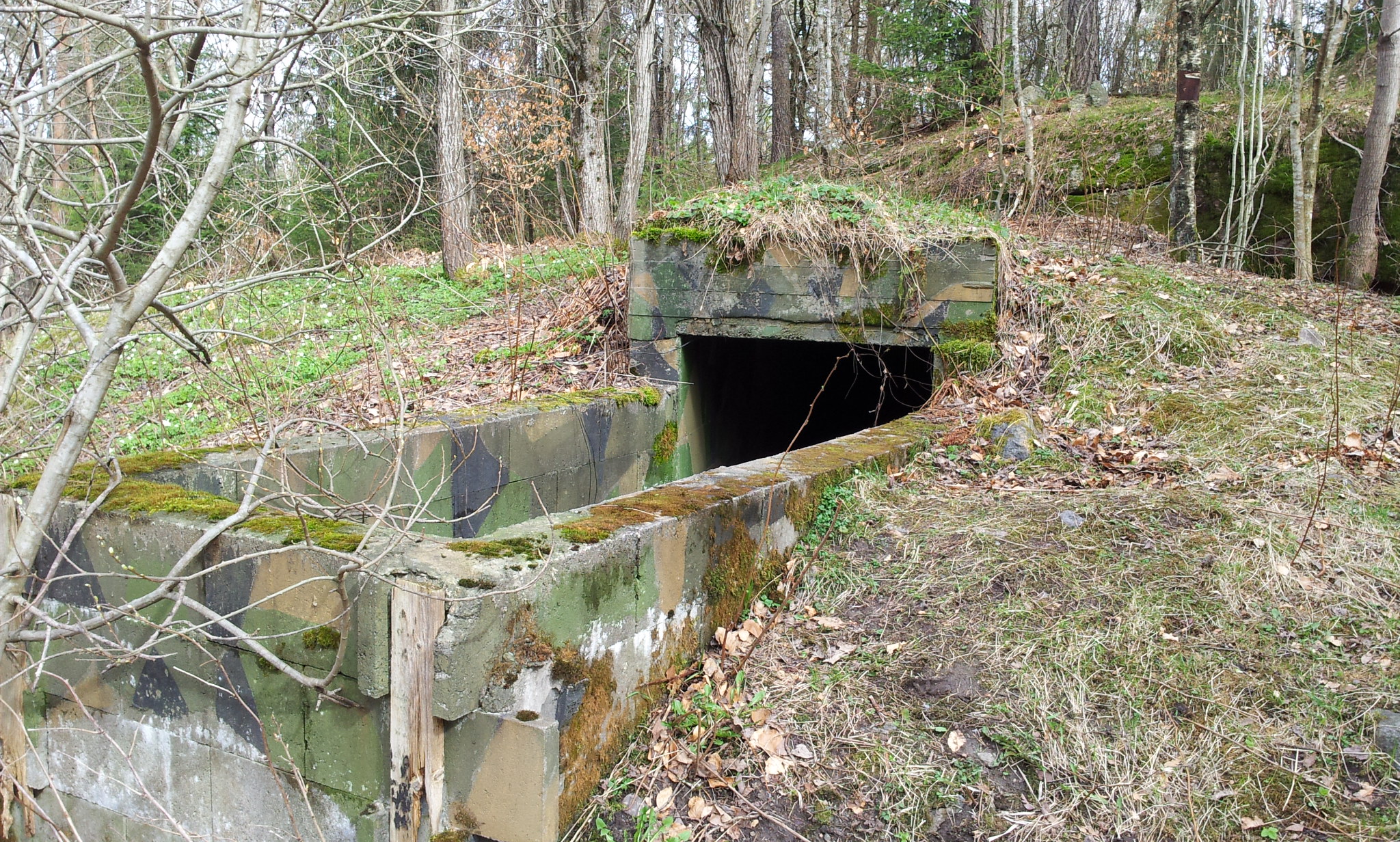 20140413_144049.jpg
