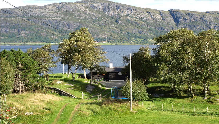 Lys. Ved strandlinja (der som flaggstanga står).JPG