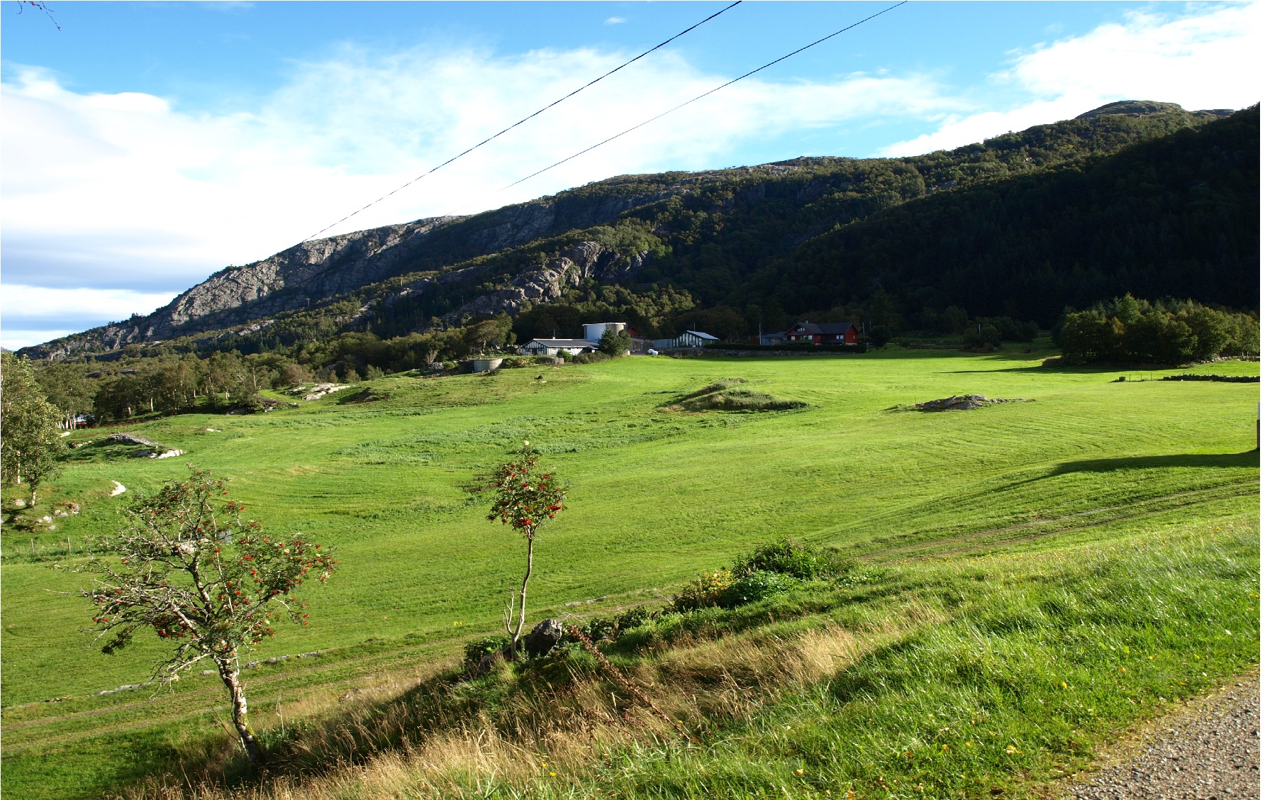 Minefeltet gikk bakom traktorvegen på bøen..JPG