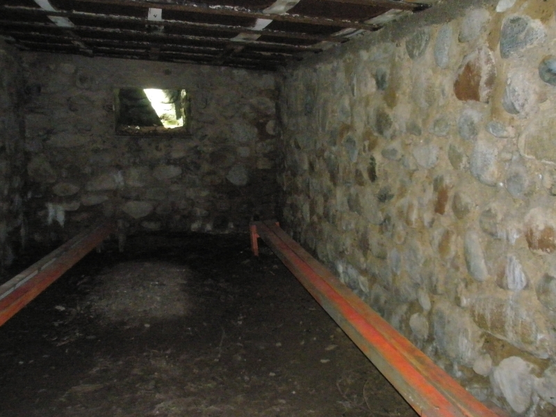 P1010098.JPG