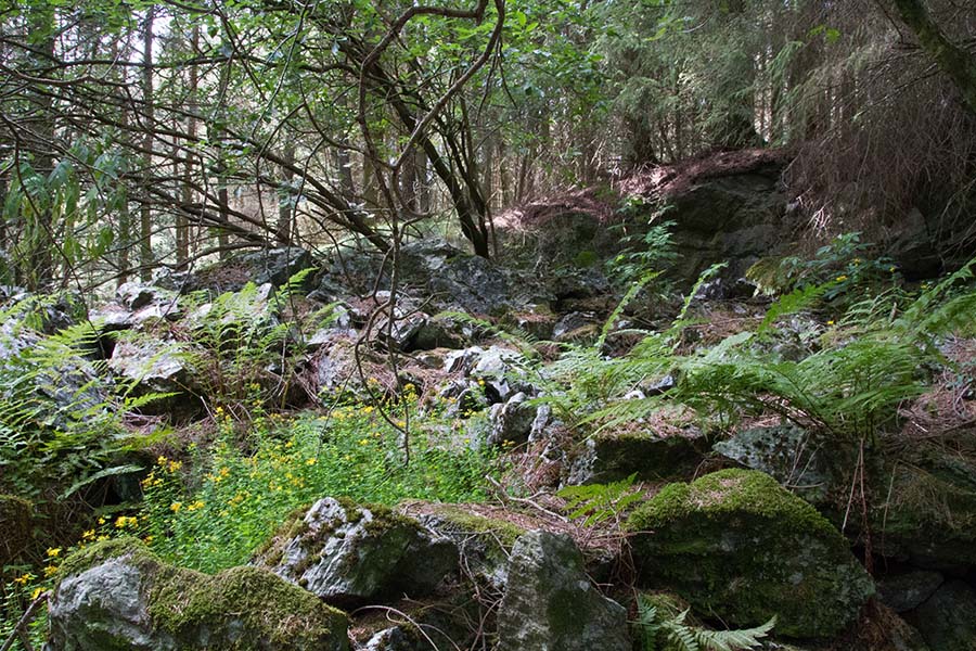 Stilling nr 1 sett fra siden. (Fra øst mot vest.)