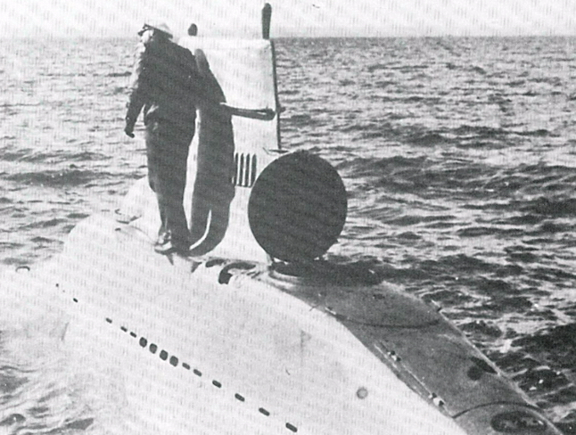 qz3.jpg
