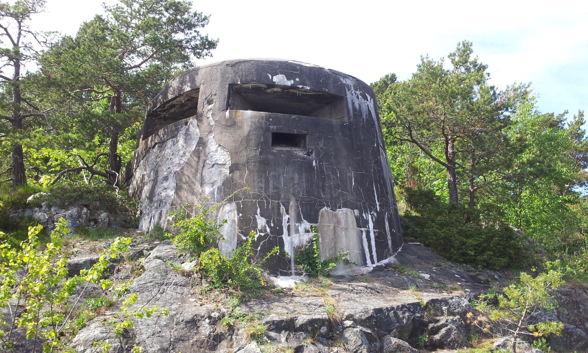 20140524_152931.jpg