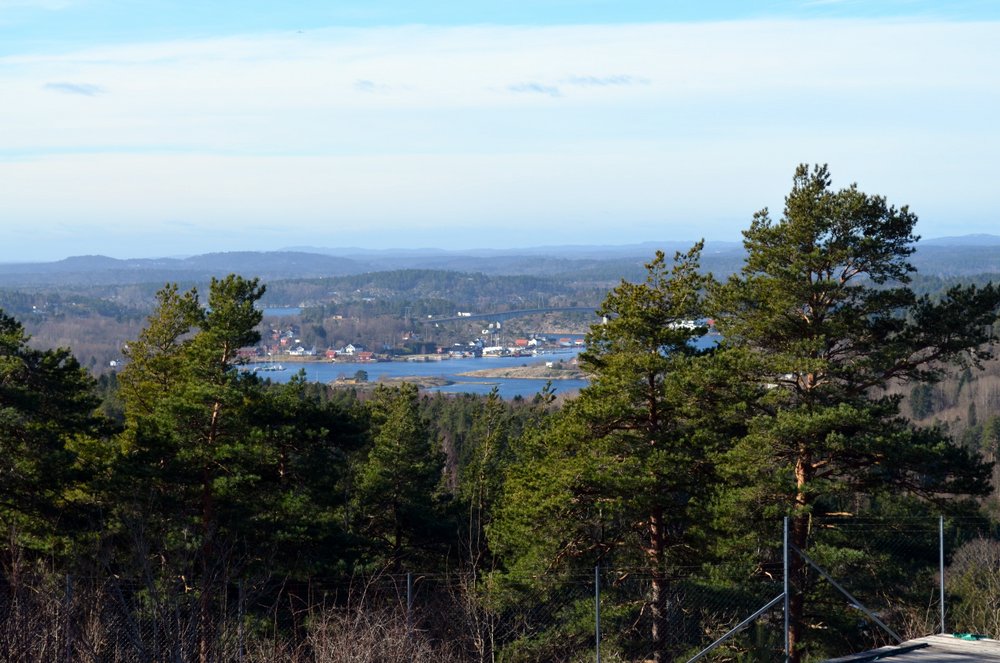 1-DSC_0032.JPG