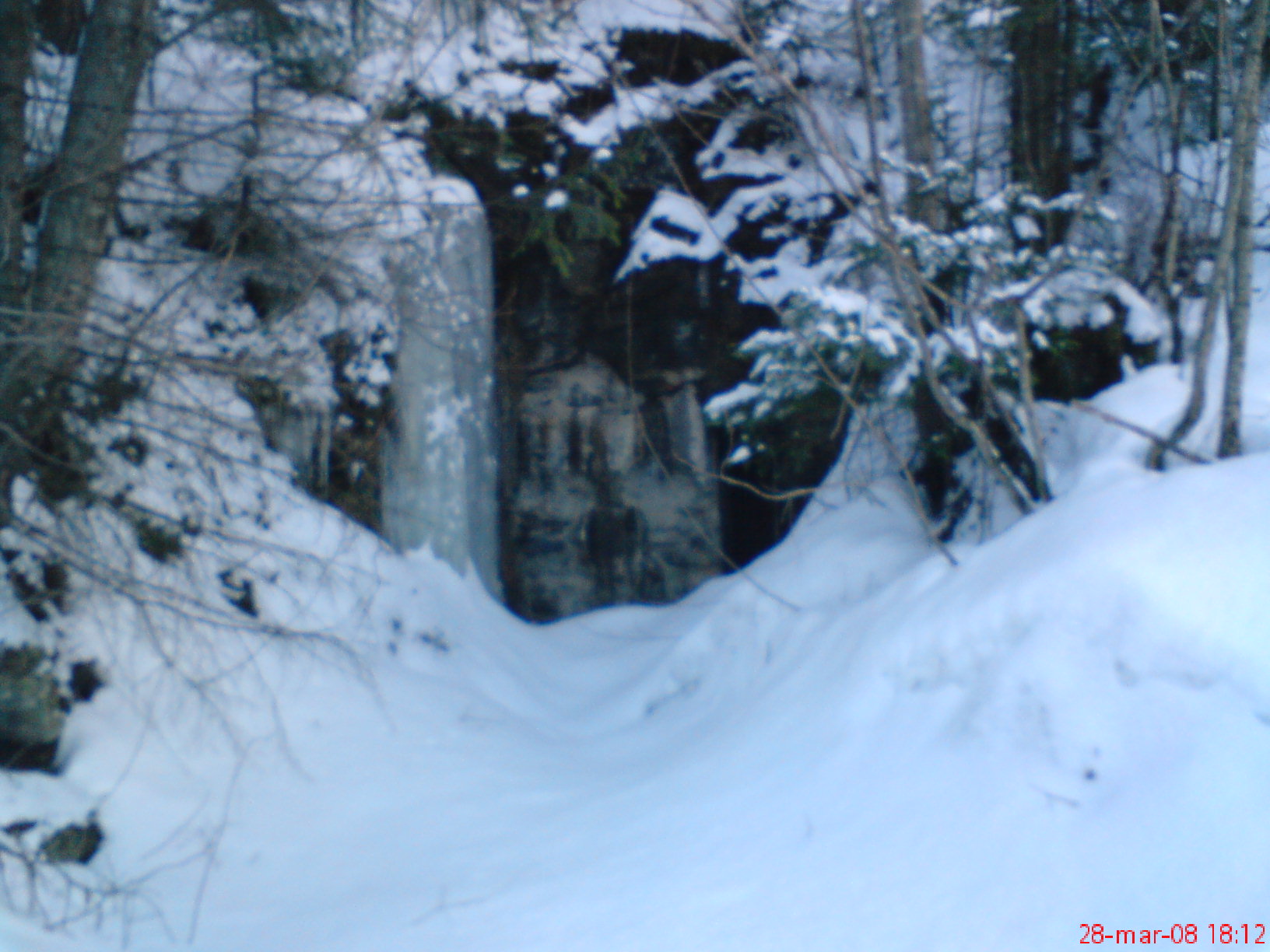 DSC00301.JPG