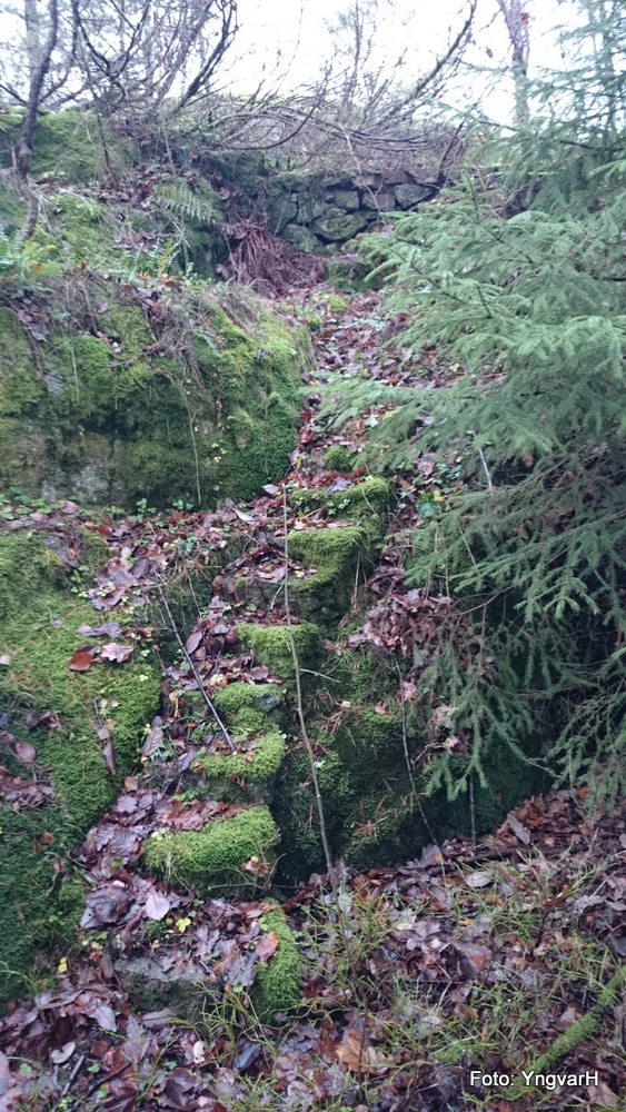 2-2014-11-16 11.16.14.jpg