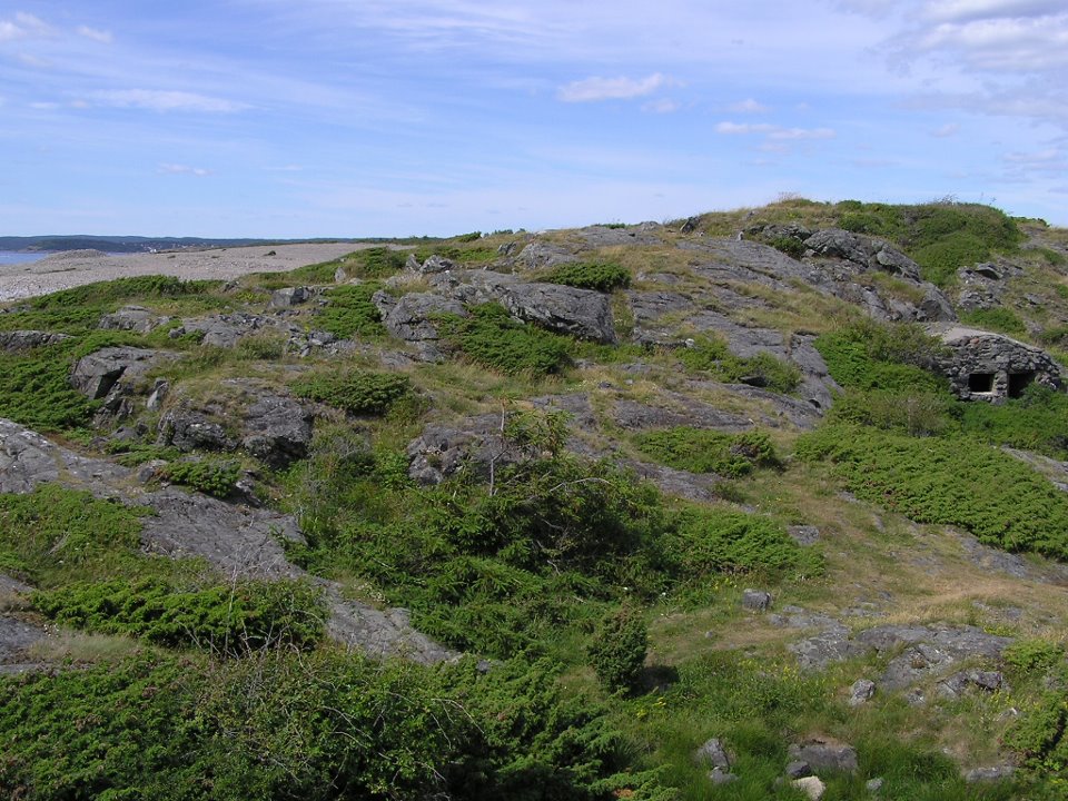 bunker_mølen.jpg
