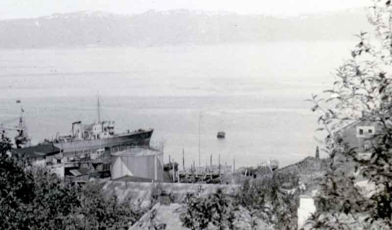 86.jpg