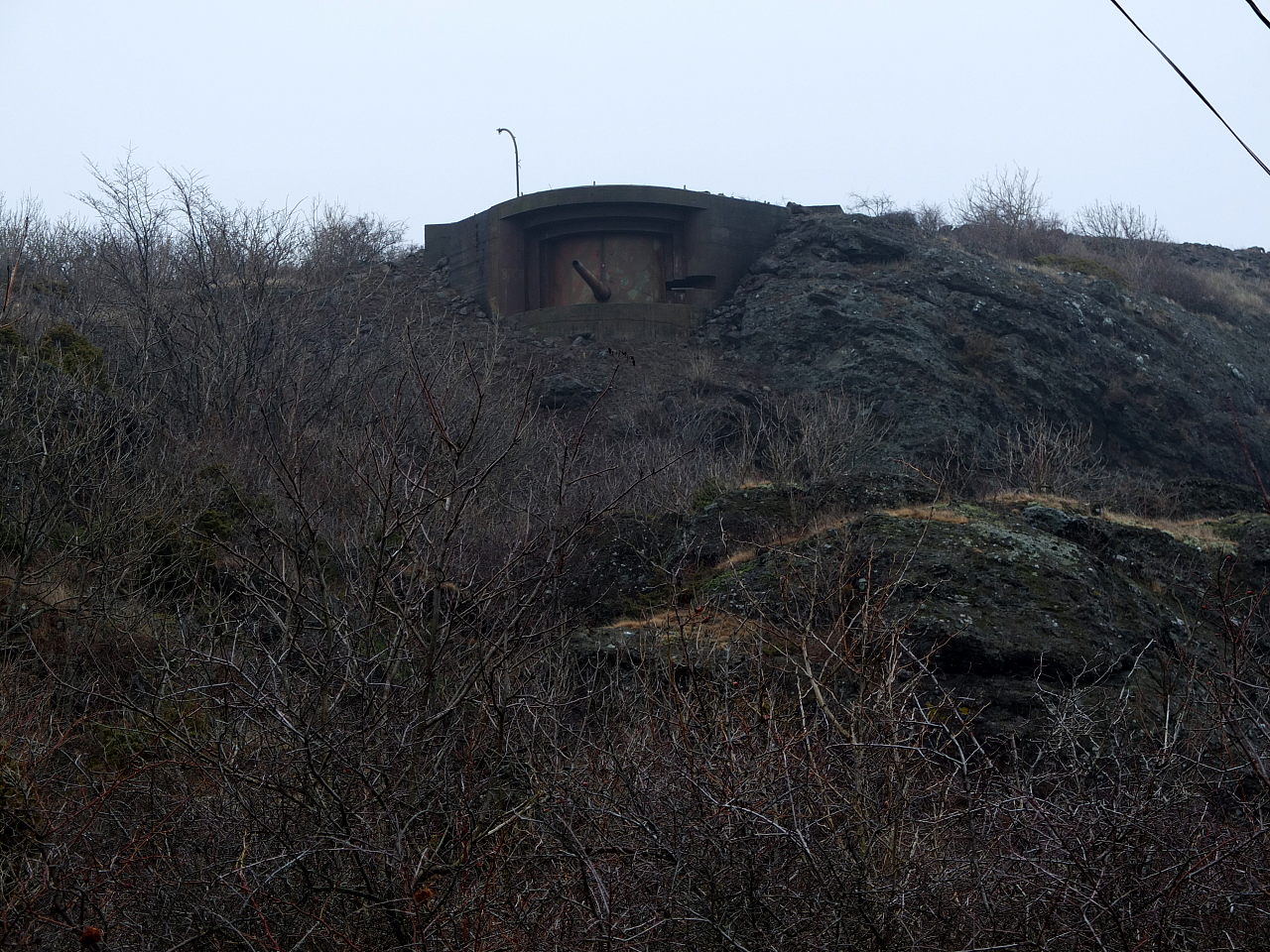 Rauoy_15cm_kanon_singelfjellet.jpg