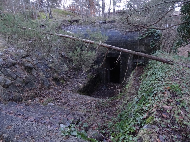 Bunker - DSC00310.JPG