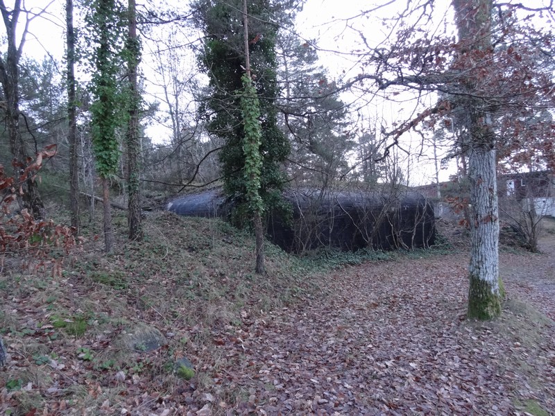 Bunker - DSC00309.JPG