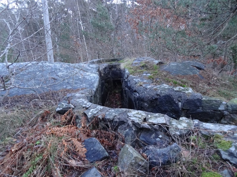 Nærforsvar A bilde 2.JPG