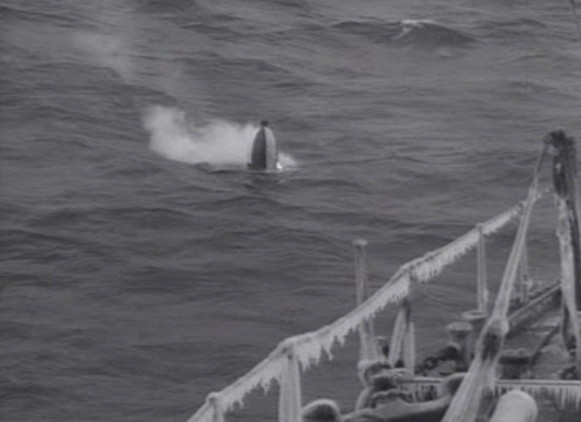 qz_sz_1.jpg