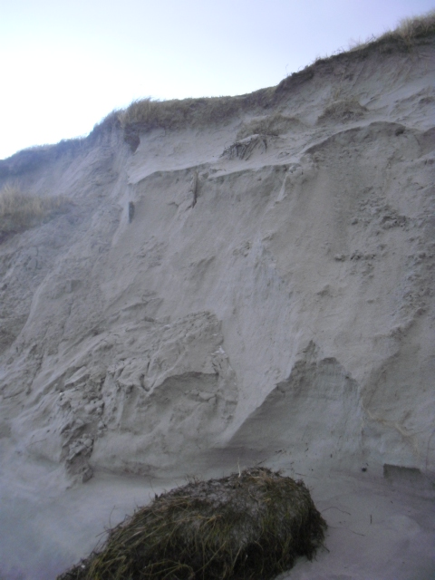 Her ser man 2 gjerdepåler stikke opp av sanden . Om ikke så lenge detter nok også piggtrådkveilen ned .