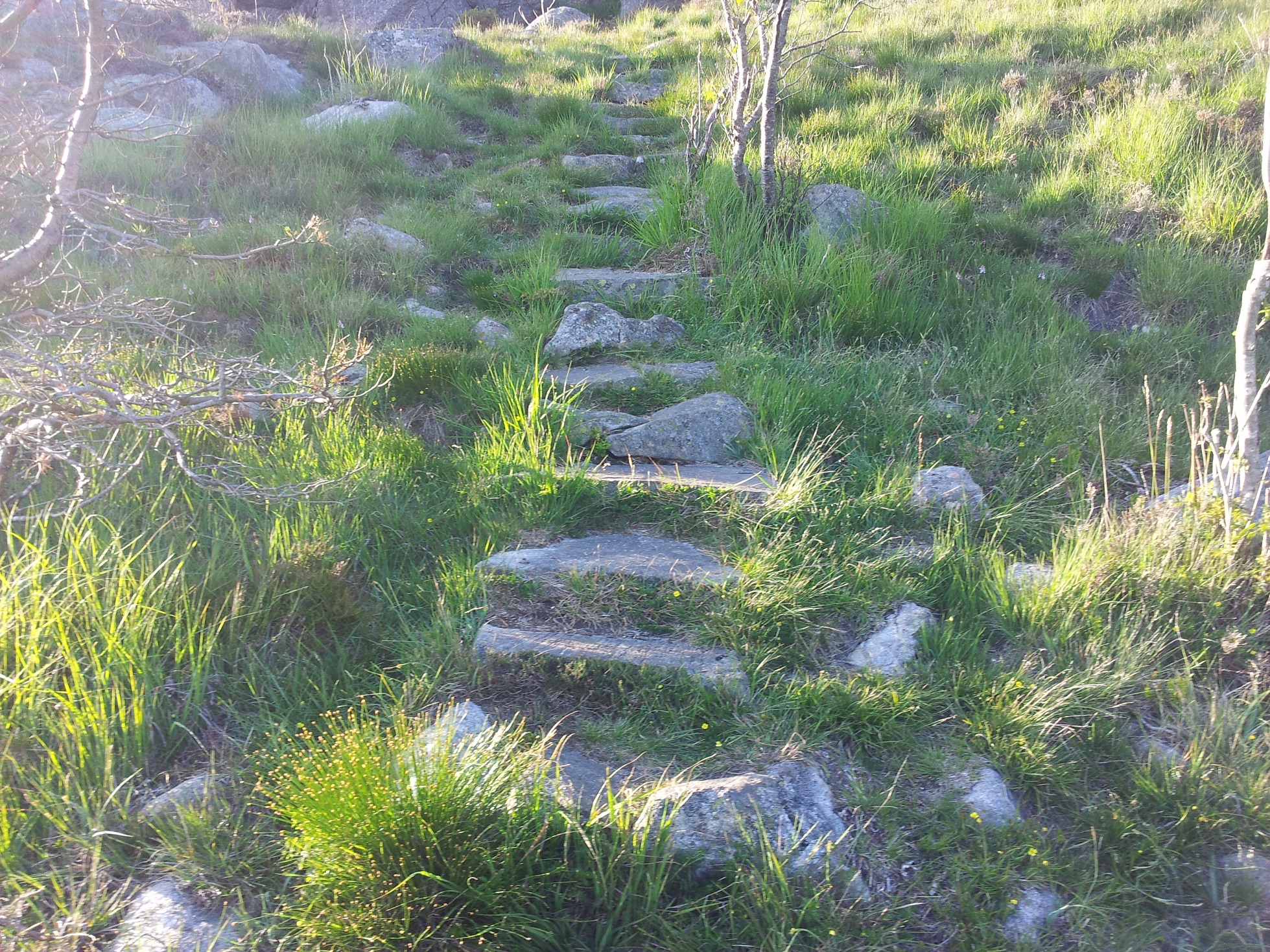 20140602_200202.jpg