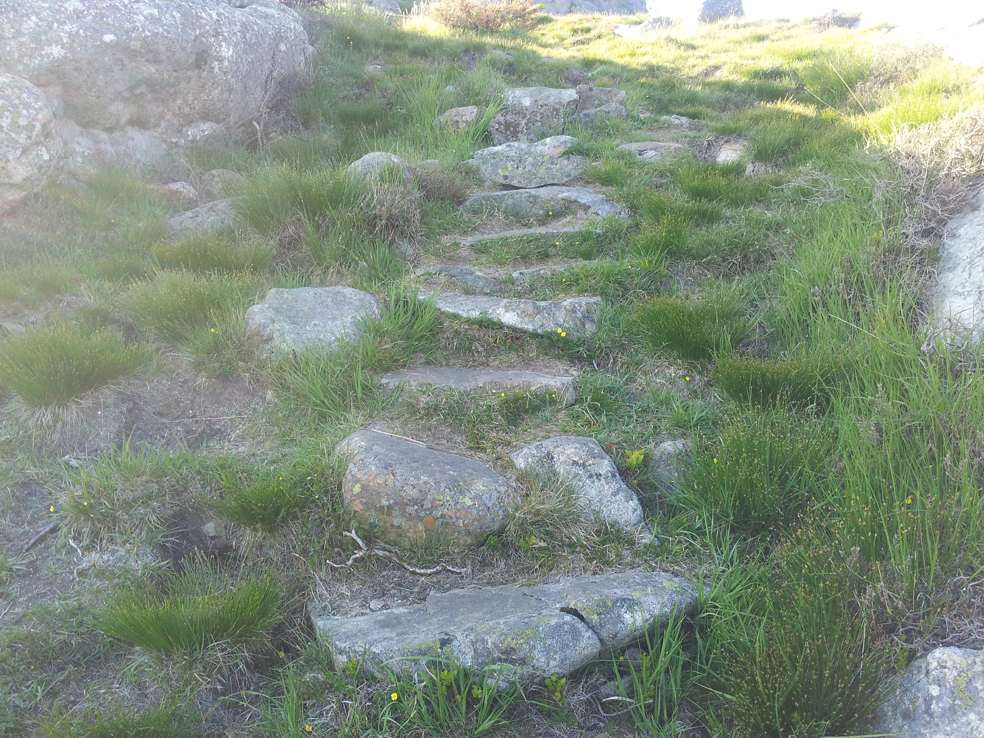 20140602_200258.jpg