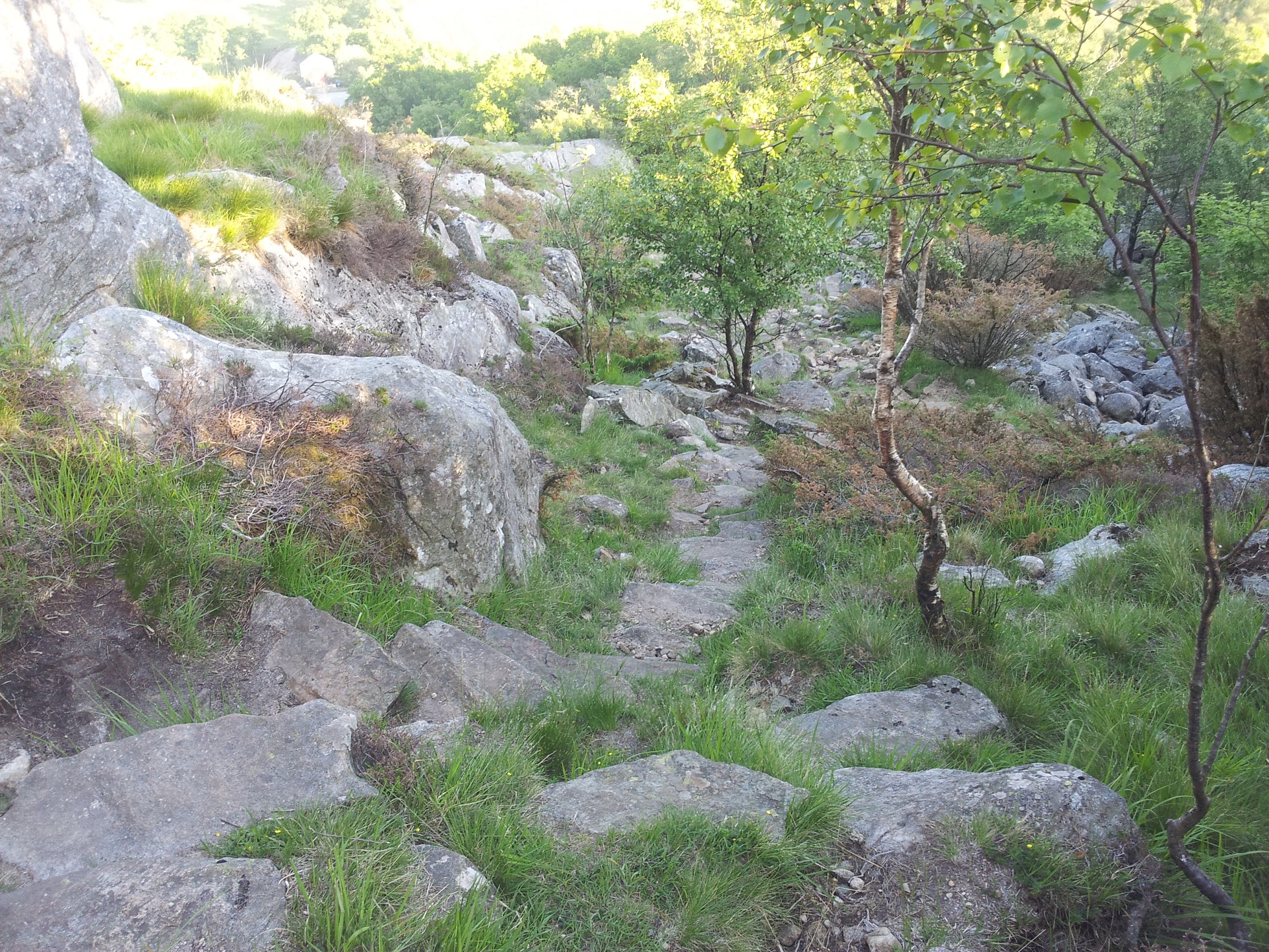 20140602_200026.jpg