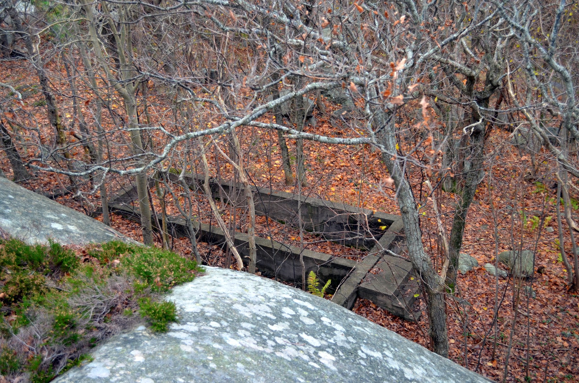 1-DSC_0010.JPG