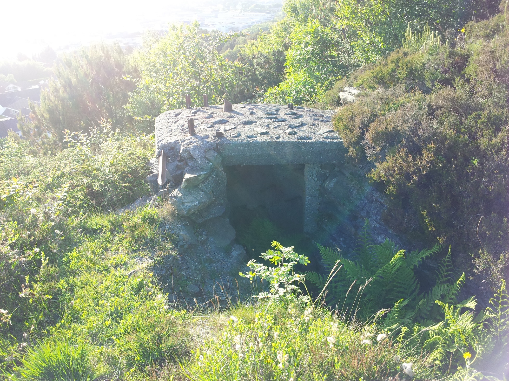 Observasjonsbunker nr 1