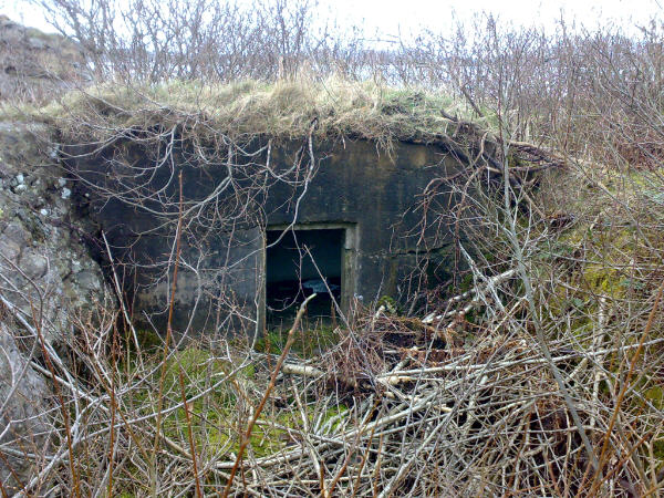 Denne er nok ikke lett og finne når graset spirer. Liten inngang ca 0,5m høy. Kansje dette har vært oppstillingsplass for FLAK 2,0cm. Karmsundet i bakgrunnen.