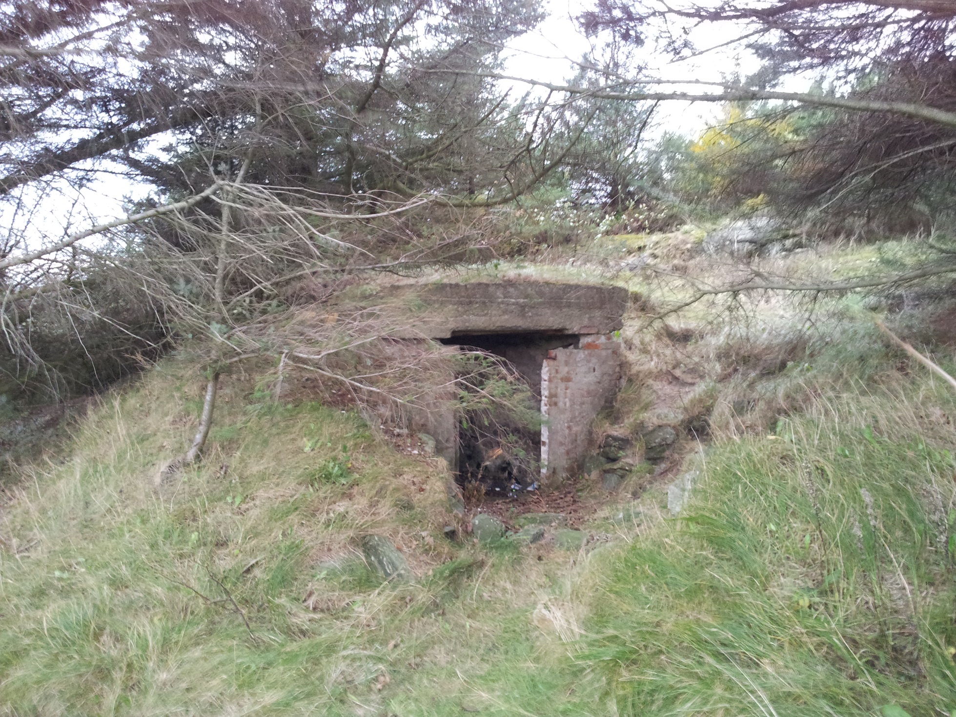 Ammunisjonsbunker i skogen bak Ølberg Camping