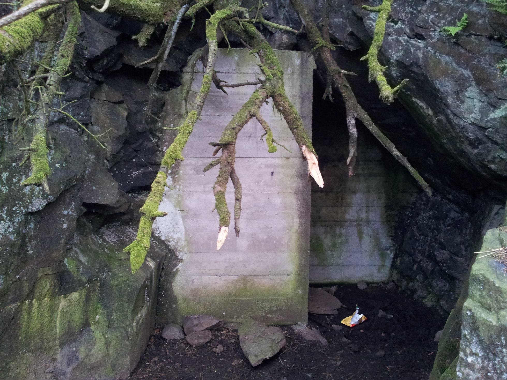 Inngangen til en liten tunnel (ca 20-30m) på østsiden av Vasshusberget. Denne ble sannsynligvis aldri ferdiggjort.