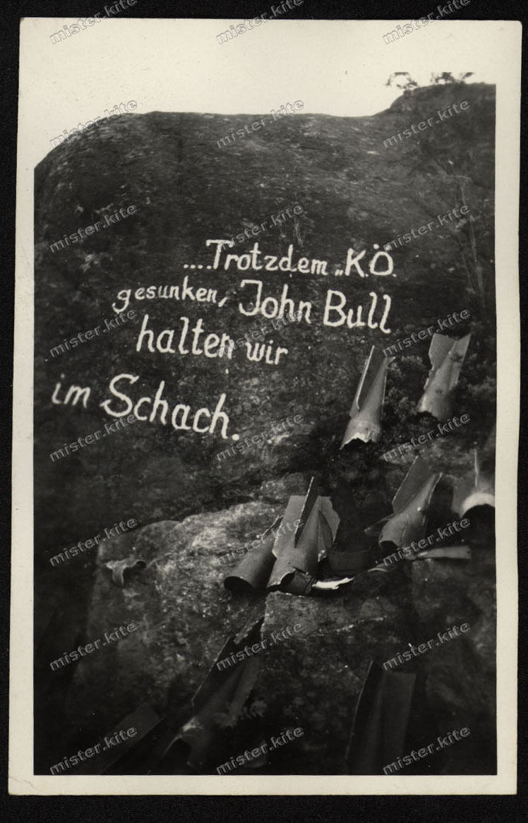 bull7.JPG
