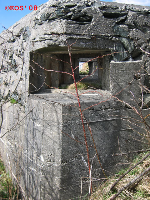 Sørvendt bunkerside.