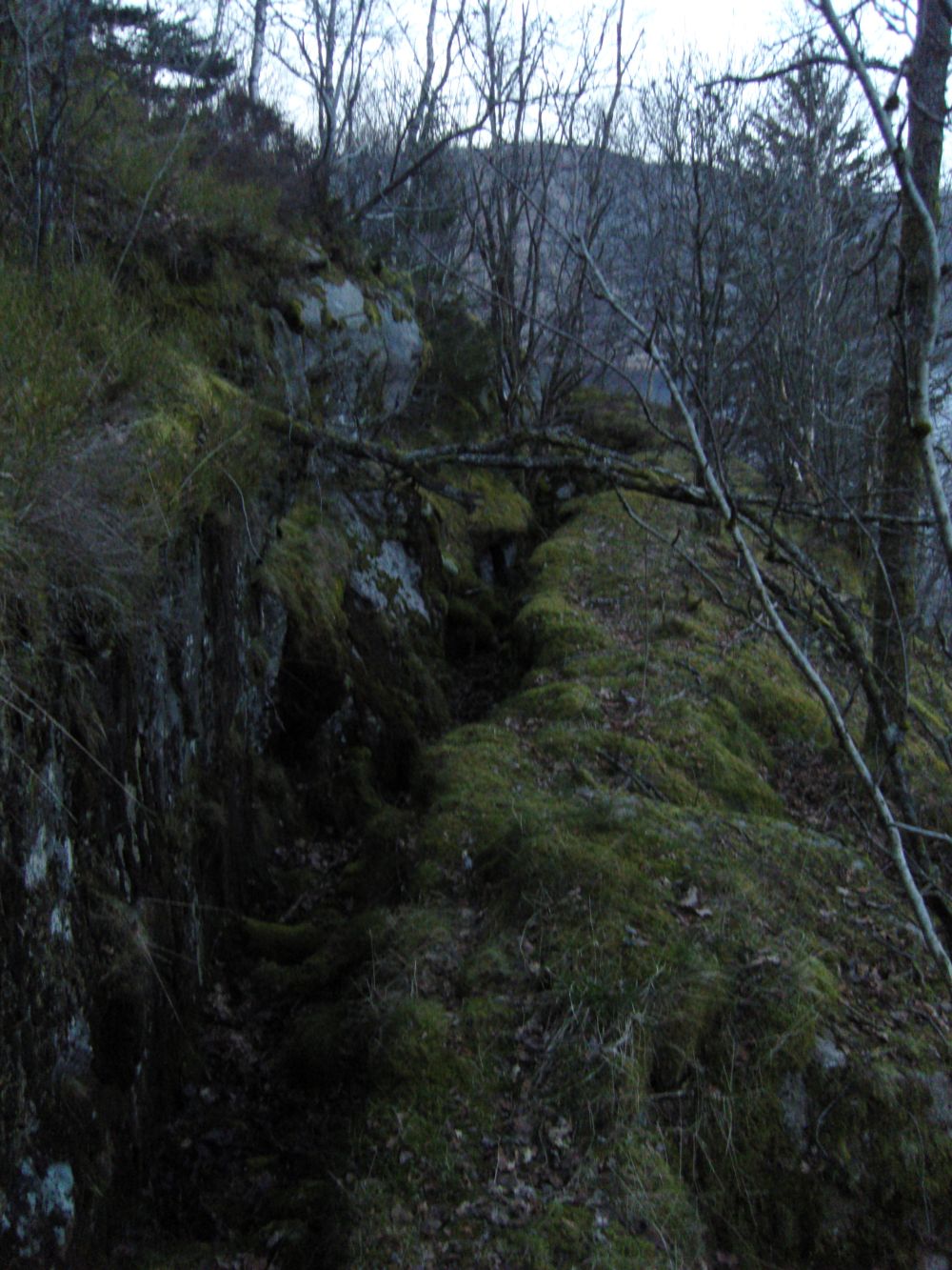 løpegraver2.jpg
