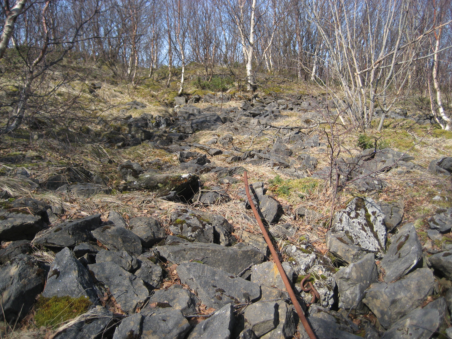 Arnøy3.jpg