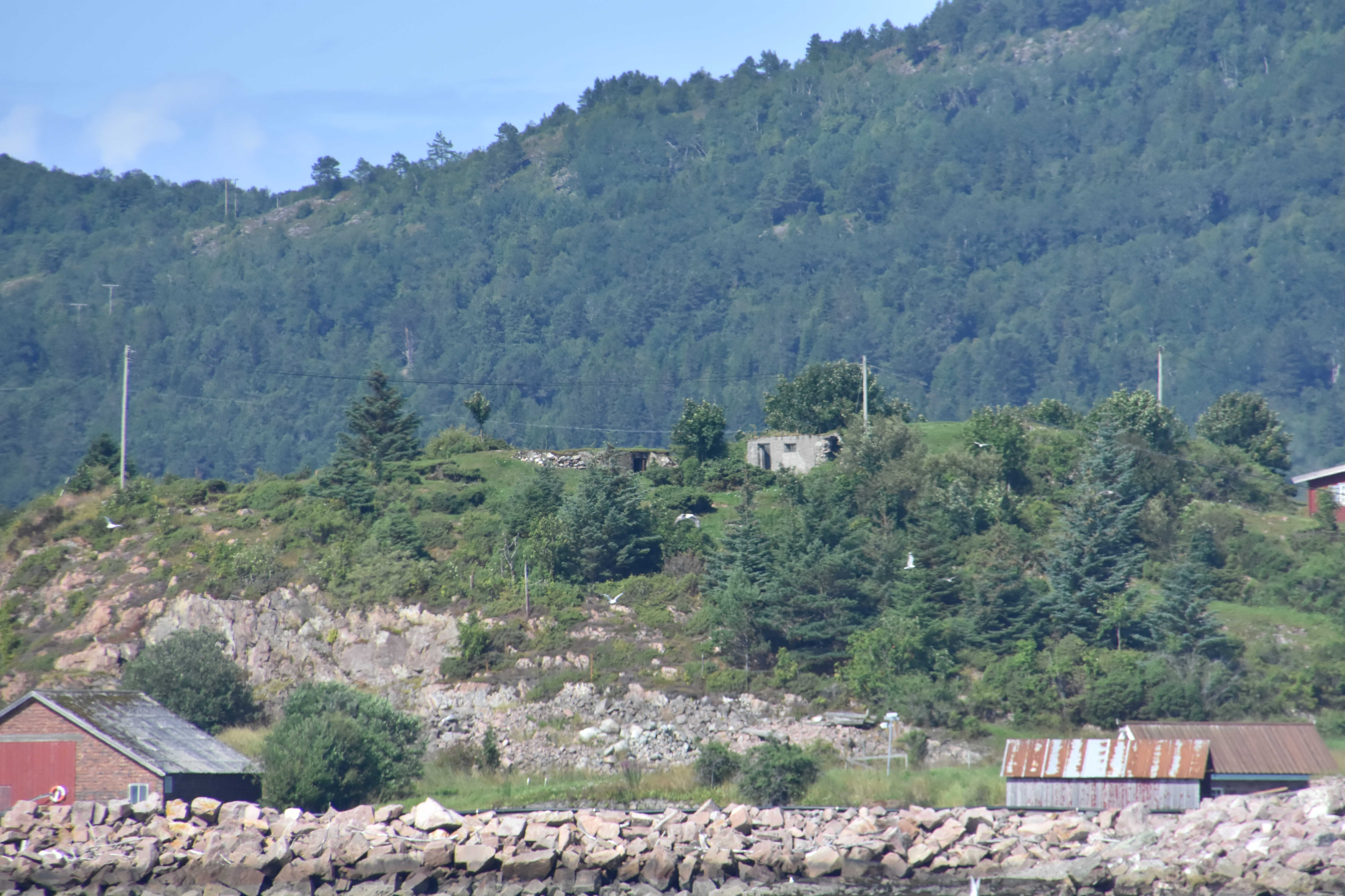 DSC_1005_50.JPG
