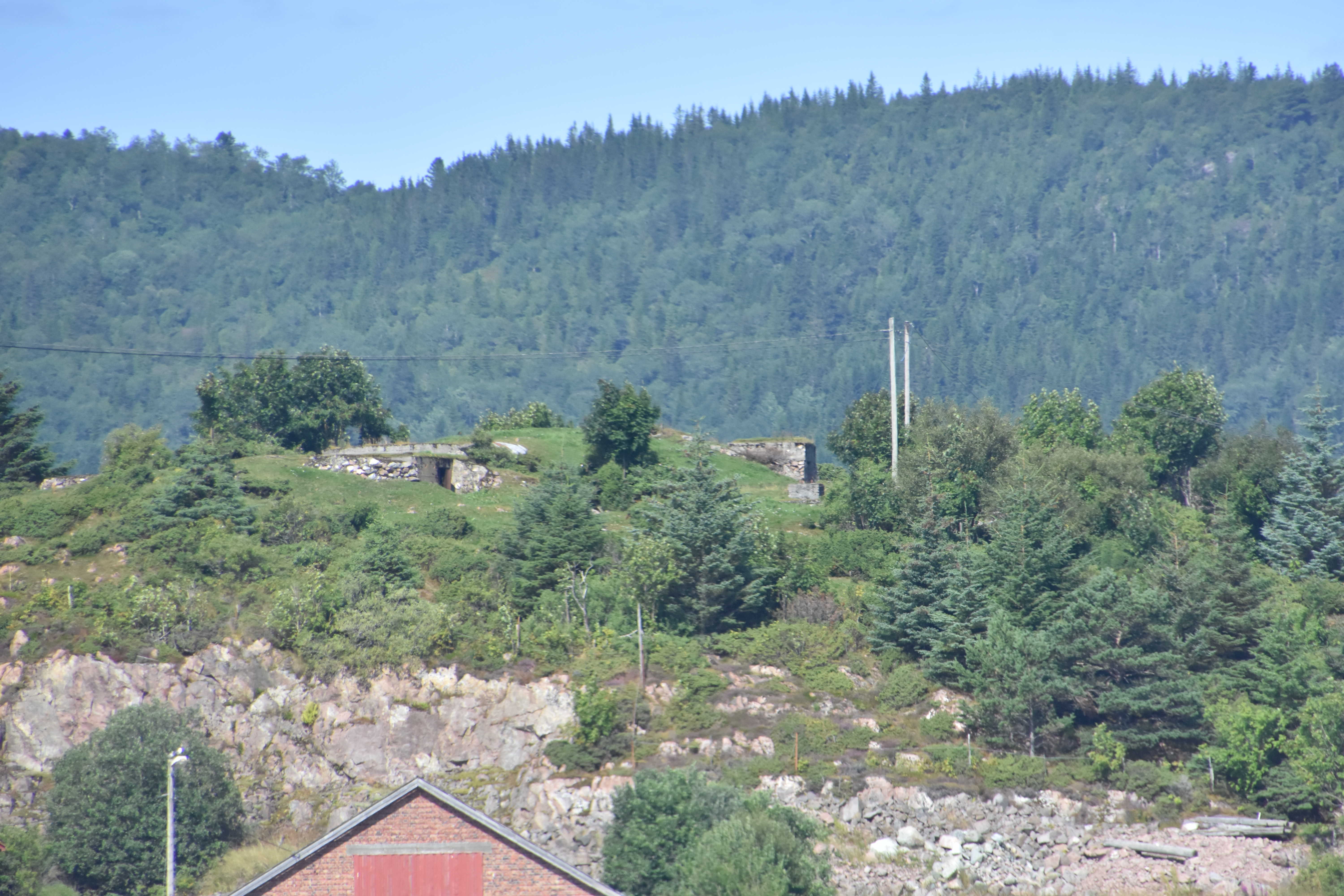 DSC_1006_50.JPG