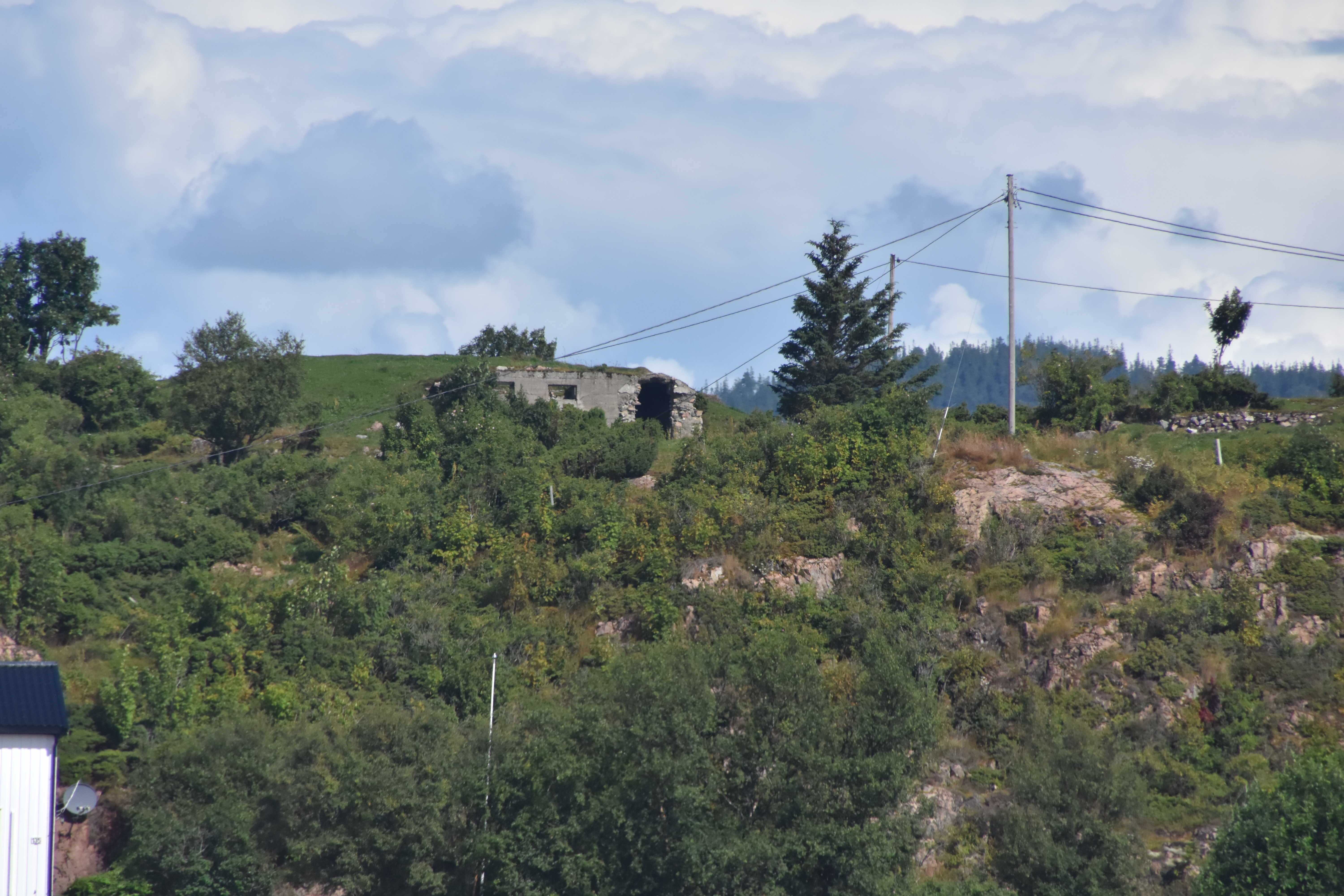 DSC_1007_50.JPG