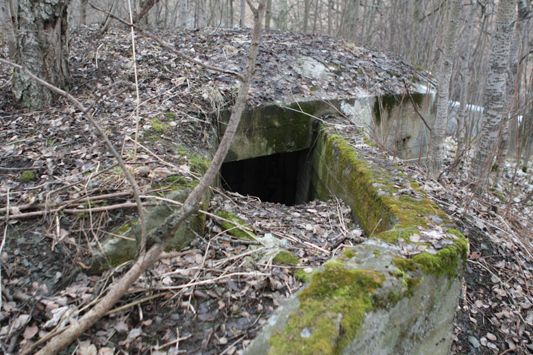 Ringve2.jpg