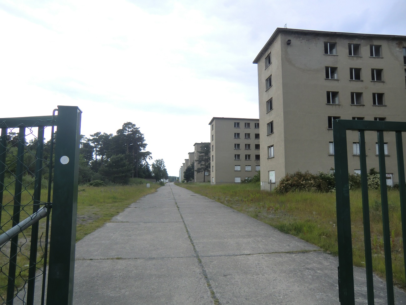 CIMG9377a.jpg